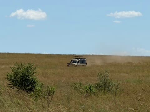 Safari vehicle kicking up dust across a grassland