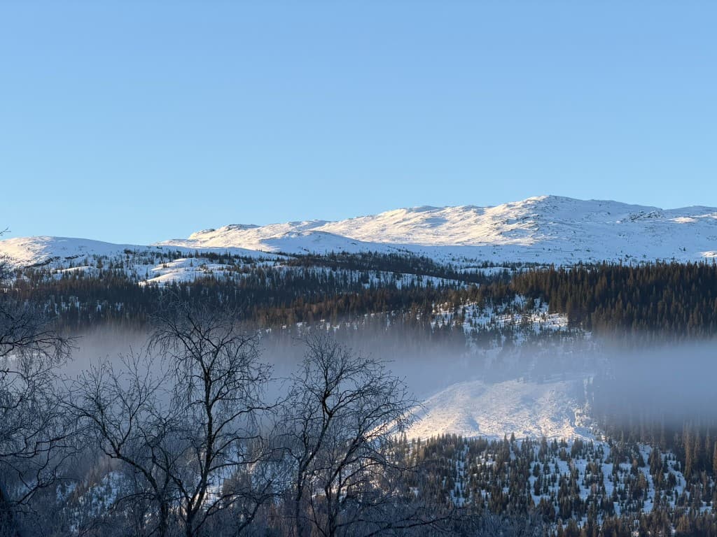 Snowy mountains and pine forest with mist in the valley