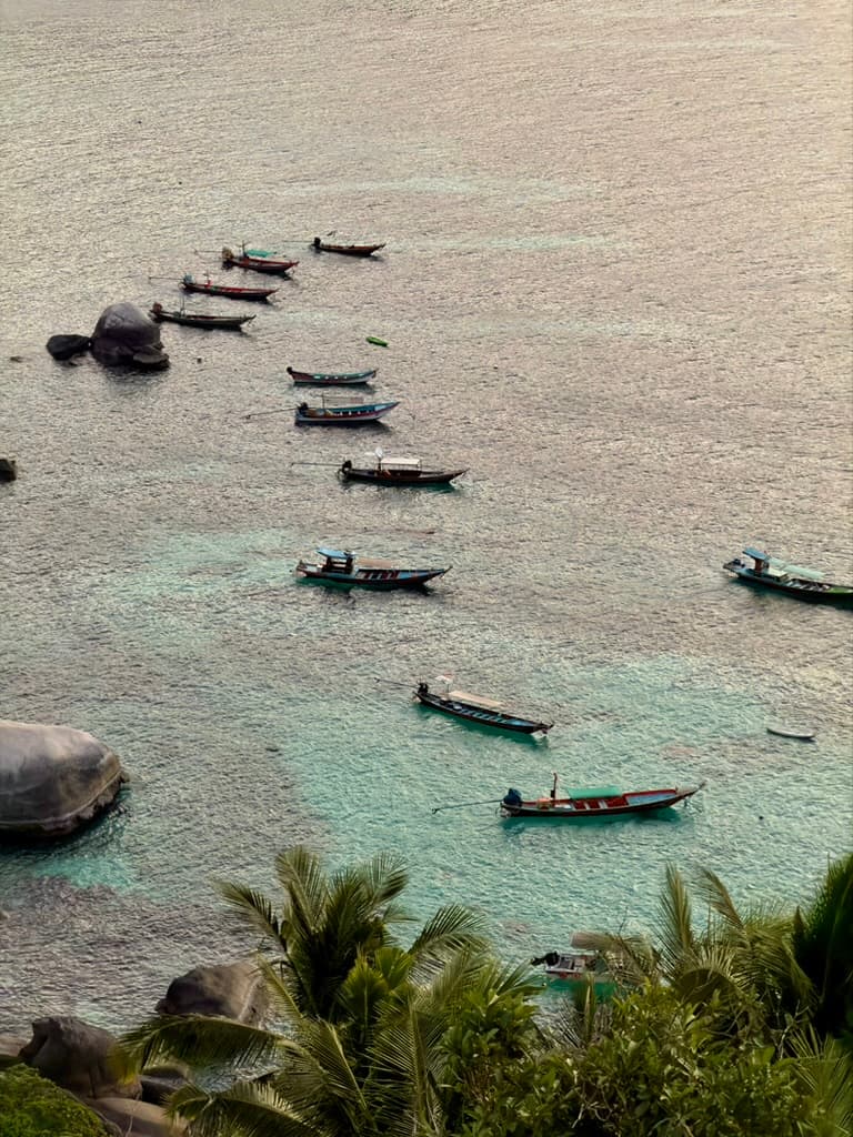 Longtail boats in clear water seen from above the palms